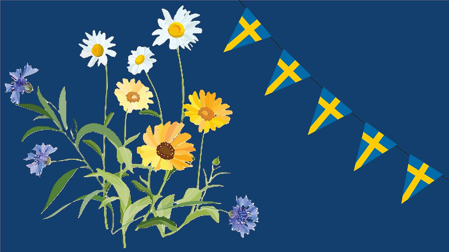 Nationaldagsfirande i Tyresö 2026