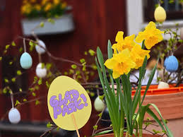 Äggjakt på Eolshälls 4H-gård