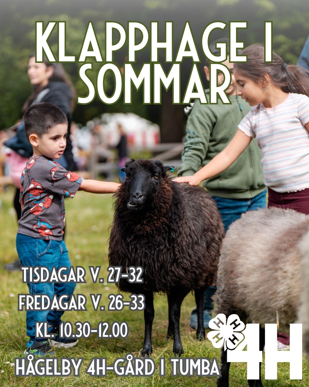 Klapphage hos Hågelby 4H