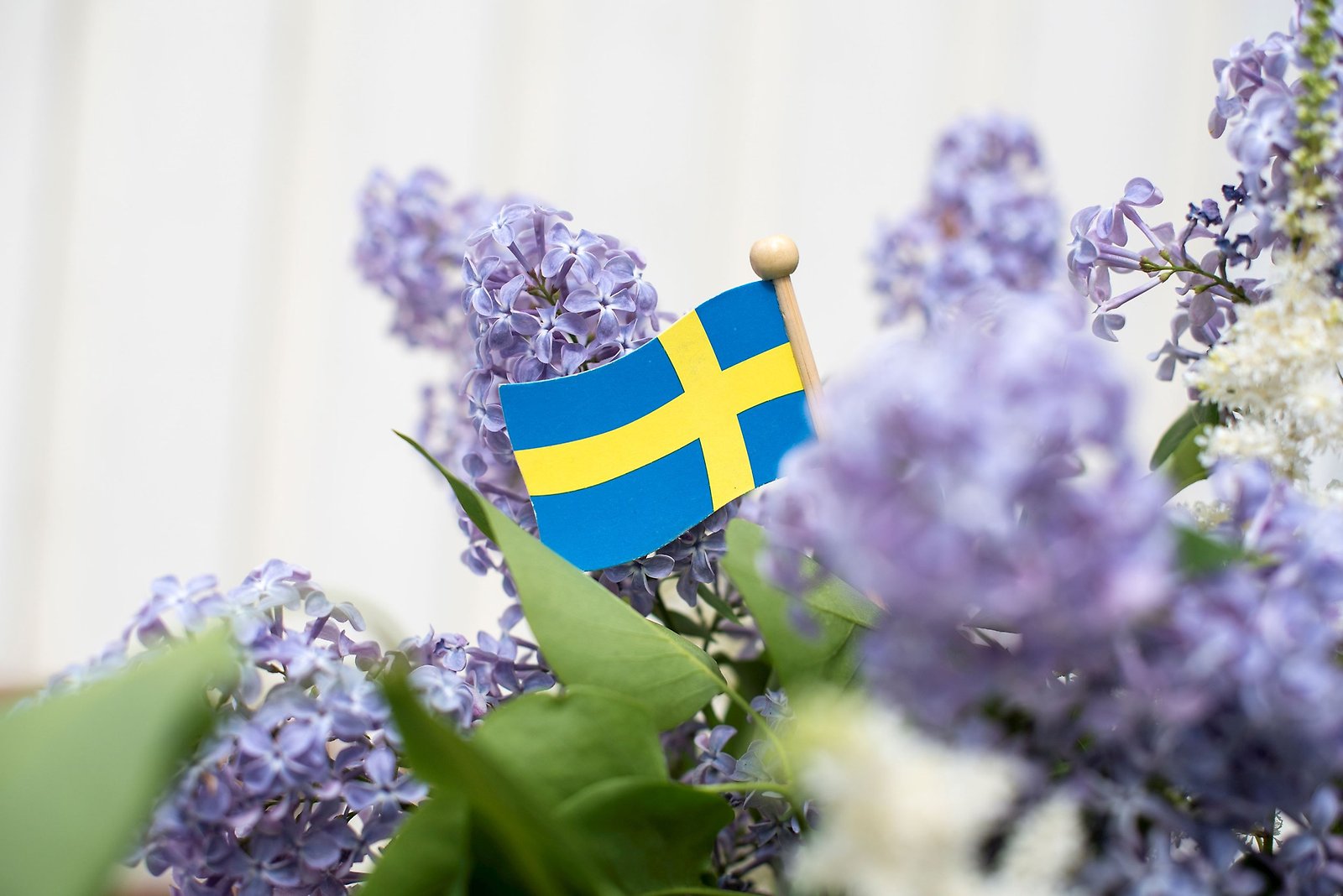 Nationaldagsfirande i Vaxholms kyrka 2026