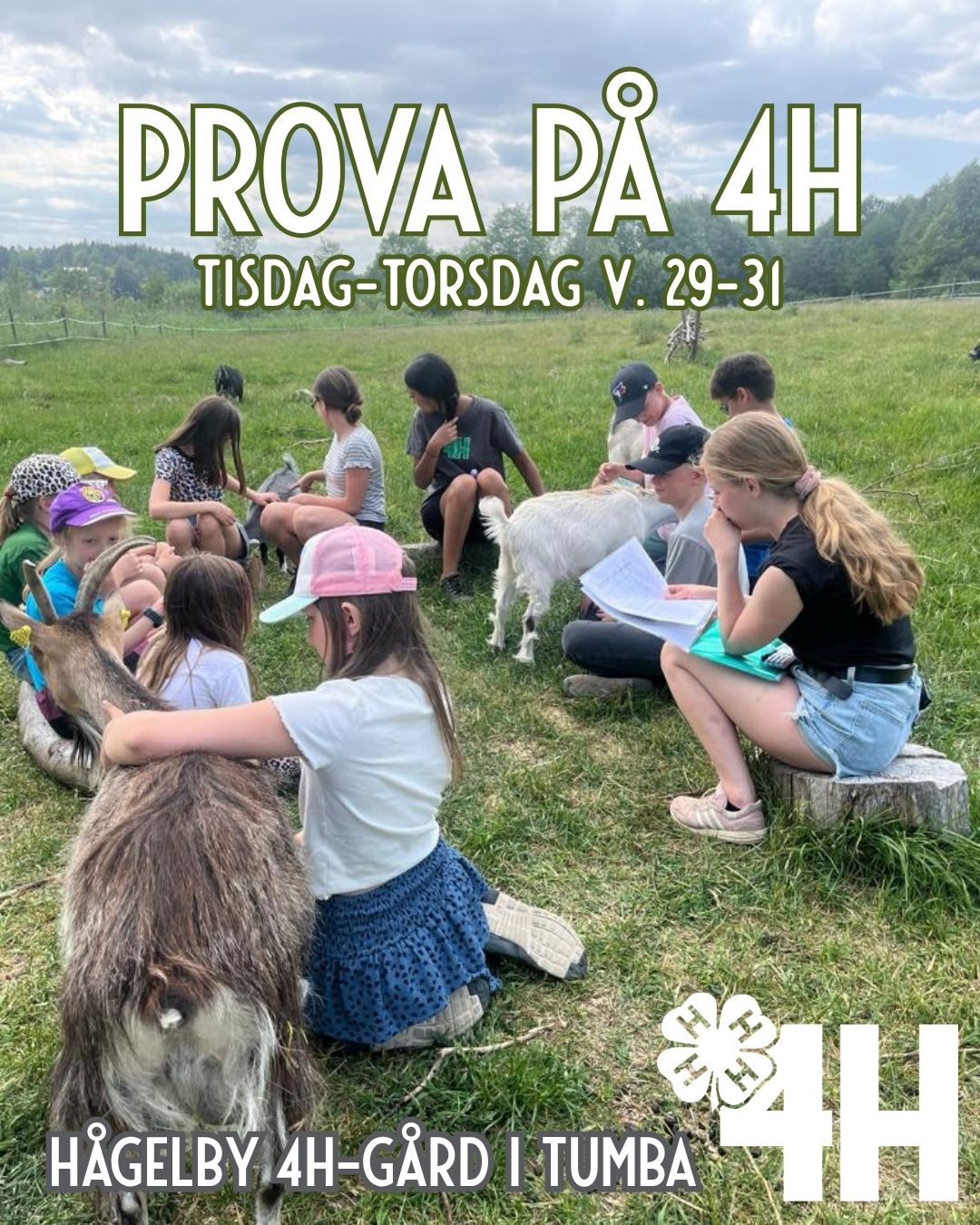 Prova på 4H 7-11 år