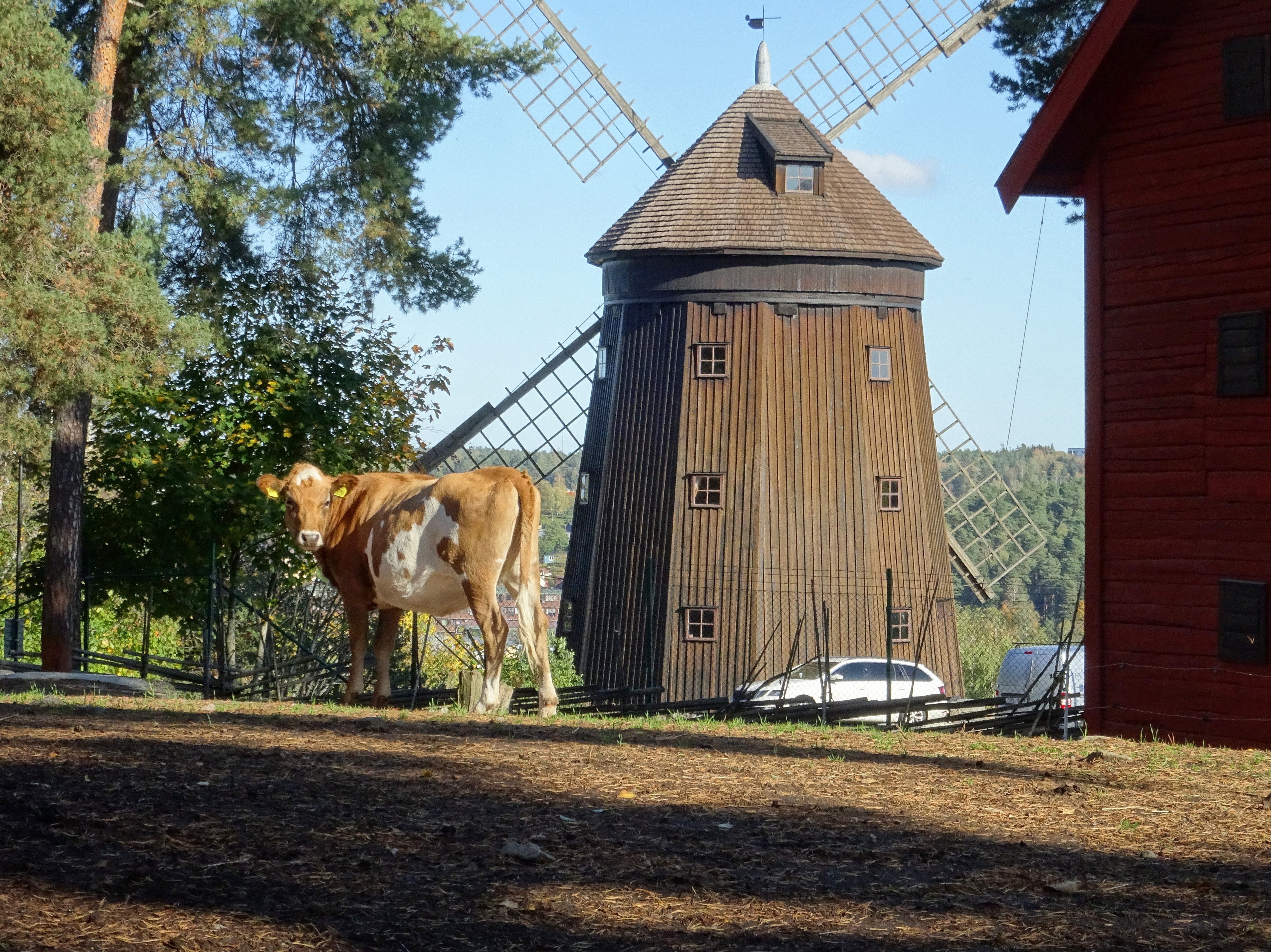 Torekällbergets Friluftsmuseum