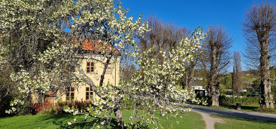 Konsert Kungliga Musikhögskolan Edsberg