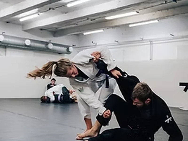 Gratis introklass på Stark jiu jitsu